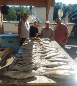 Clarks Hill Lake Fishing Report